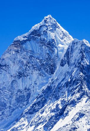 Himalayan Icecap